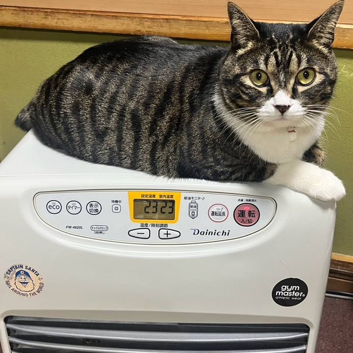 678e8a16 b362 492e a329 7c7d9308cb6c 1768005368043