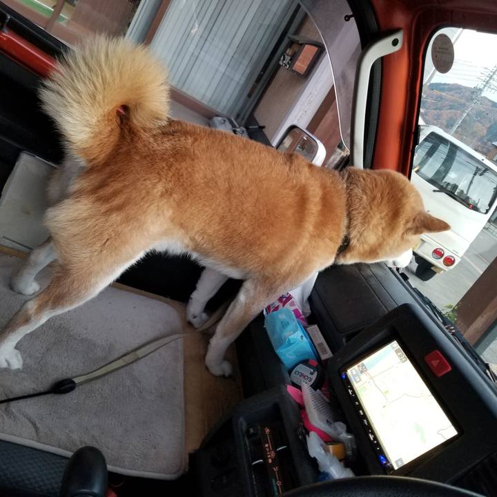 678ea4cf 8ee8 46a0 b194 d27df410352d 1668412509566