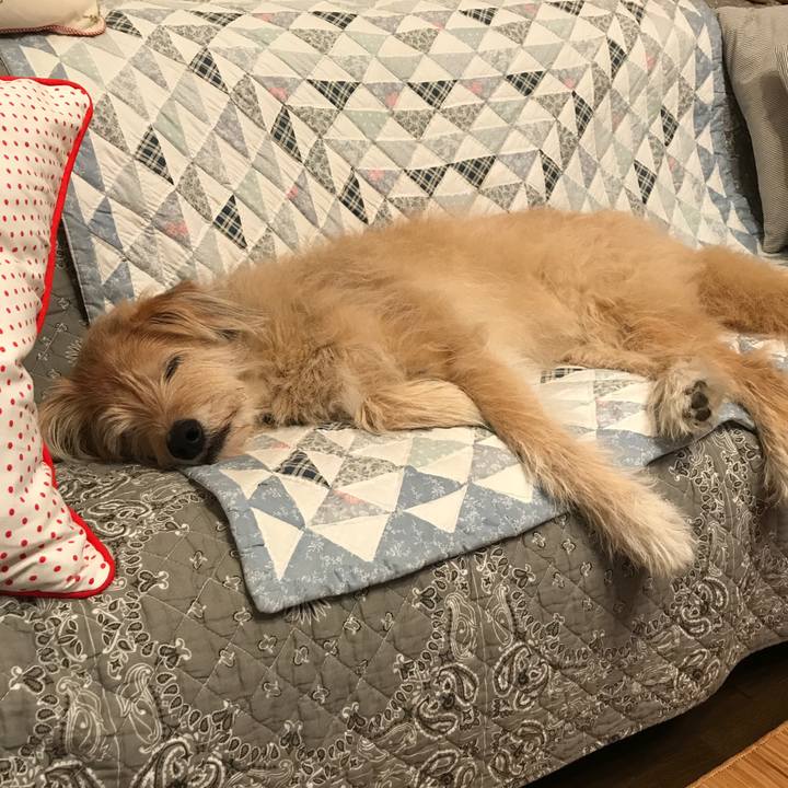 678ed086 8ddd 4c6a b643 c5ff17823a46 1560002017717