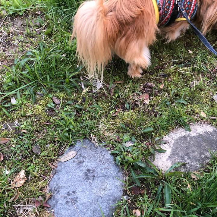 678f3b14 3fd5 4035 b269 f8de5206669e 1554412345234