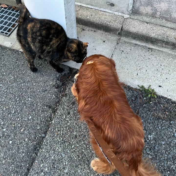 678f5ab4 31d9 4dfd b7de 4bd84eab19e9 1773053730907