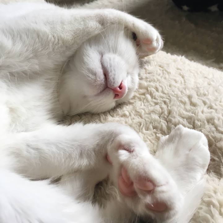 678f7508 add0 4360 9b26 171b63ebe537 1512133133603