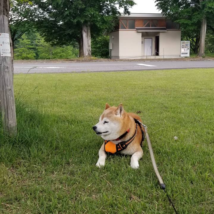 678fa26b 60f2 49fc 8a9f 004d66e50d73 1716189352260