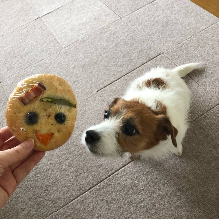 678fa4b8 1879 4c1d ae43 087579f35072 1585888345550