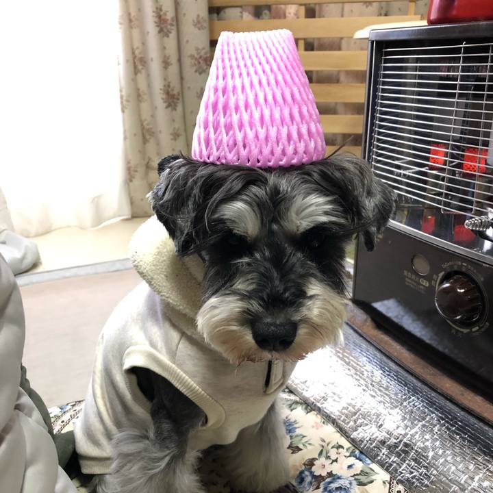 678fafae f6a5 4fec 9893 ed7887fe48ec 1646543018400