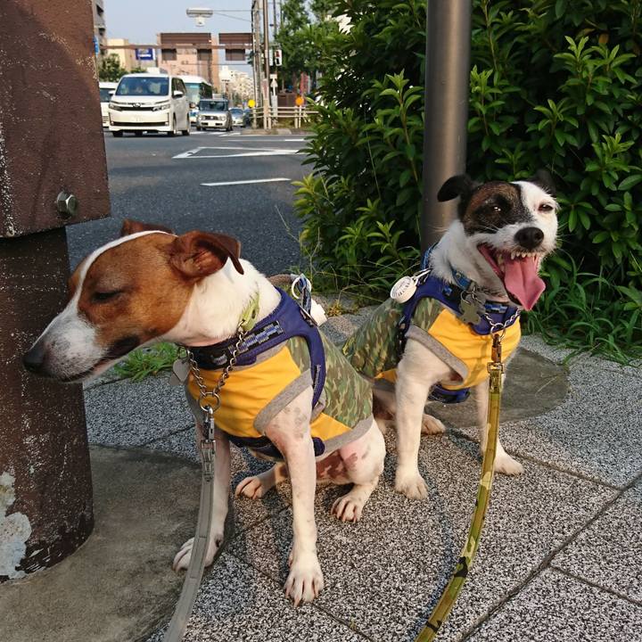 678fb85a 53ba 400a a9fa bf2794958ba4 1564695743854