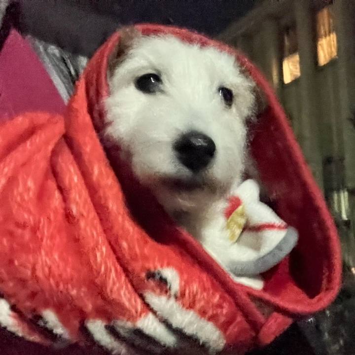 678fdc9e f019 4beb bb8b 466ba6f5f920 1676500956286