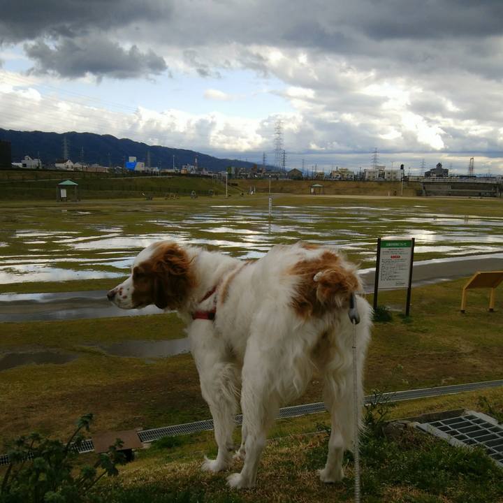 67906c02 09fa 48d3 a90b 280d7e23c755 1552292919911