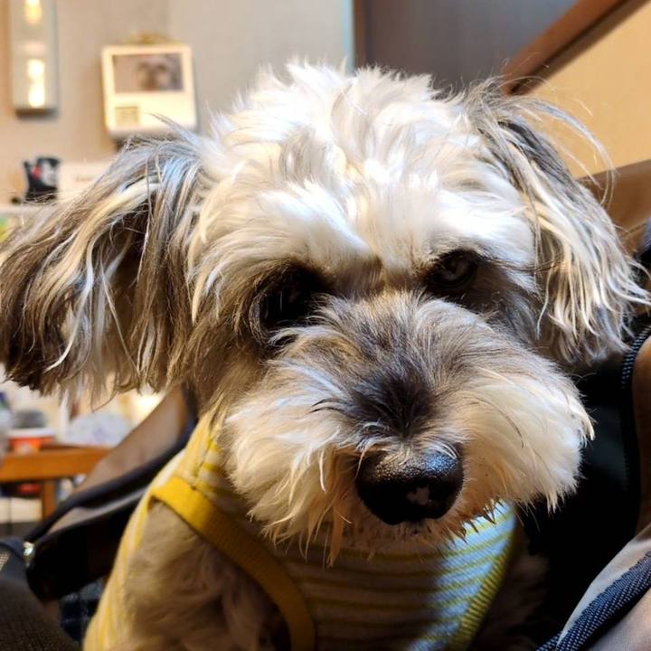 67906e6a 9c92 4c2f a317 8fddf2edad38 1761658047361