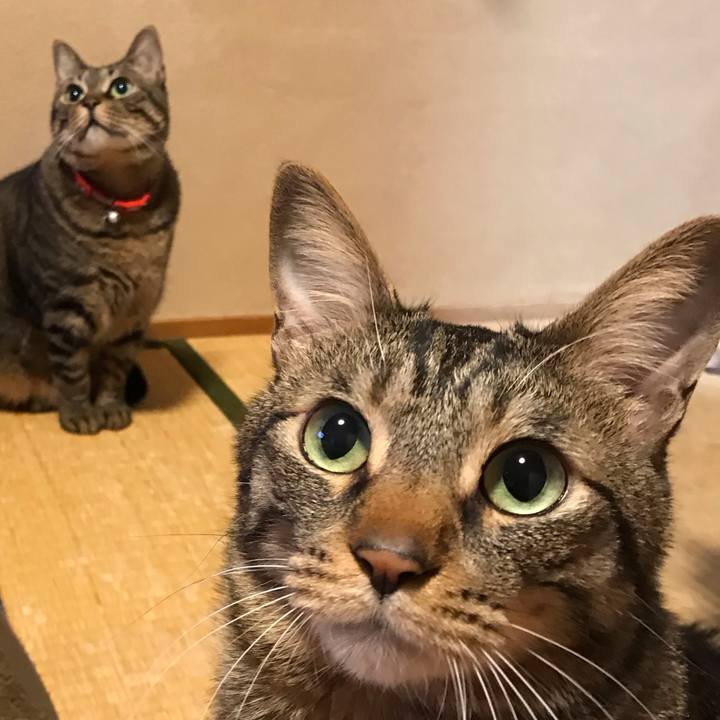 6790b4cd 9100 4f92 8403 49b4fada502c 1557411364313