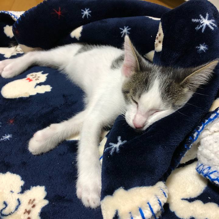 6790c81e 38e3 4be0 873f b4c31487bc0b 1562162897022