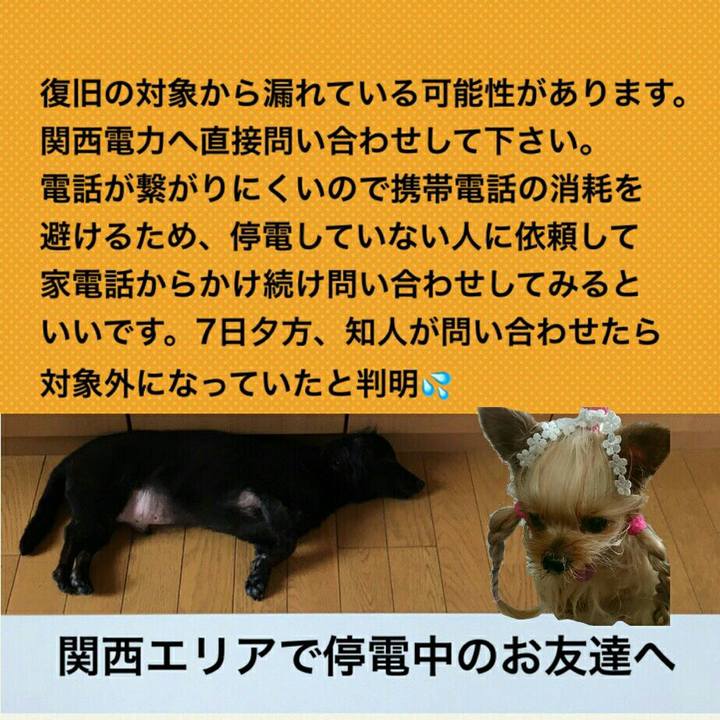 6790ef2a 5584 4acb bbe9 1bf25c37cc7b 1536328358906