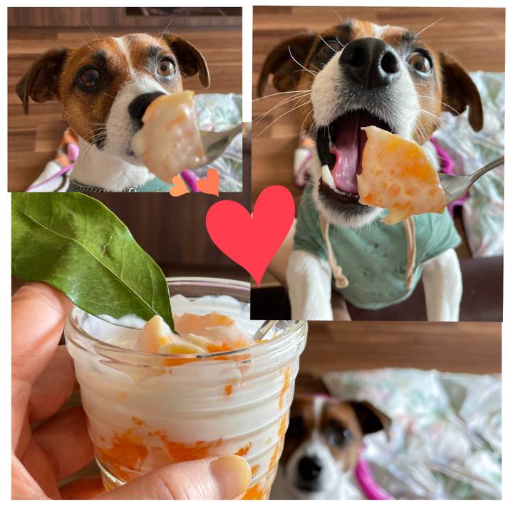 67910c08 1802 48a6 a371 4b2ed80a0551 1651881140421