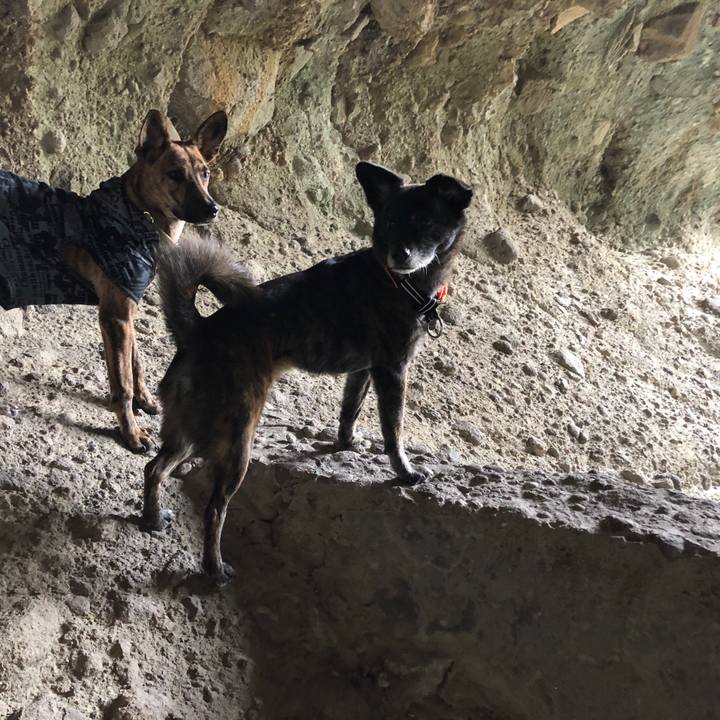 67912278 8983 4645 98ca f14f8ab6425f 1577877680114