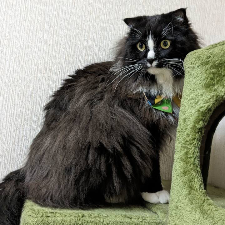 67913009 2036 4aa2 ba4d ad1ddf687778 1697417227540