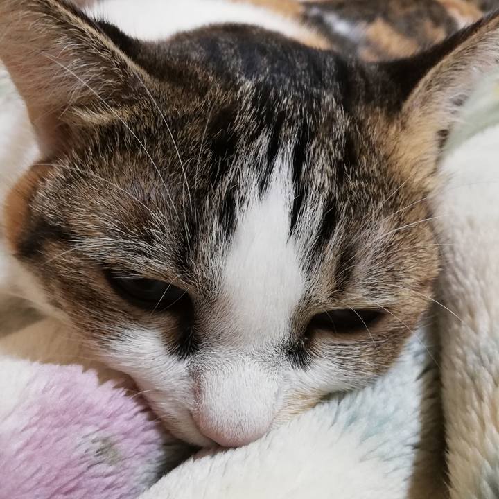 67914d6d 836c 4555 887b dd616c091fa6 1601246520318