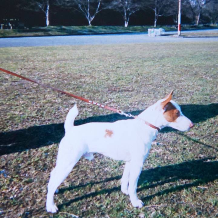 67915496 b277 4326 a229 aeea04ba468b 1621782036378