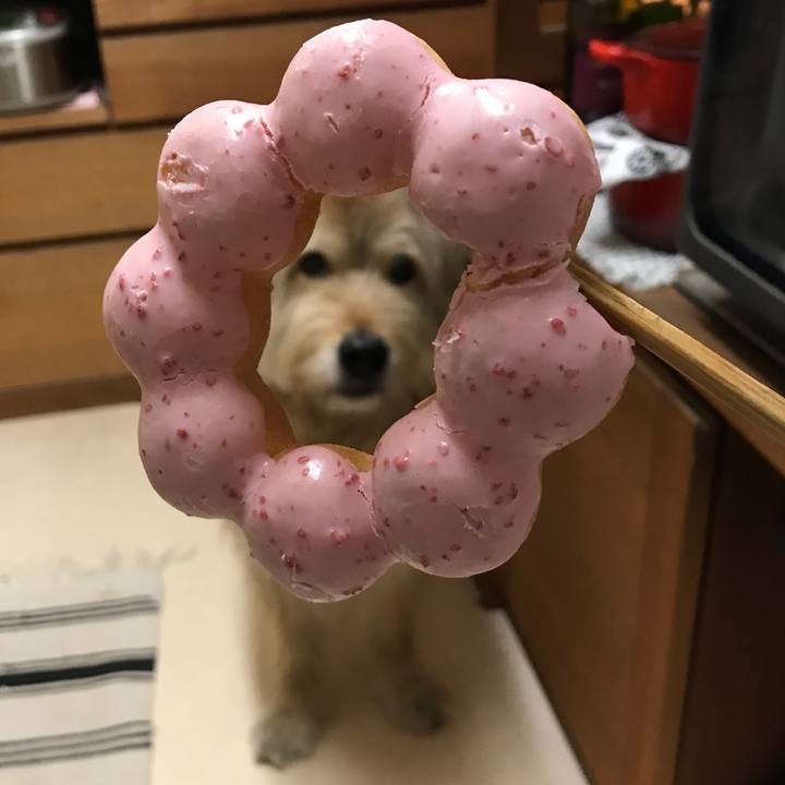 67916998 7e43 4b41 80e9 93272eb31265 1558958106543