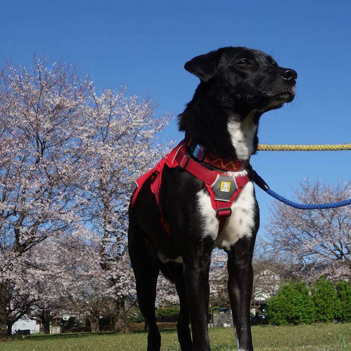 679169d4 24a0 49f3 99df bb3e339d1f34 1585095457186