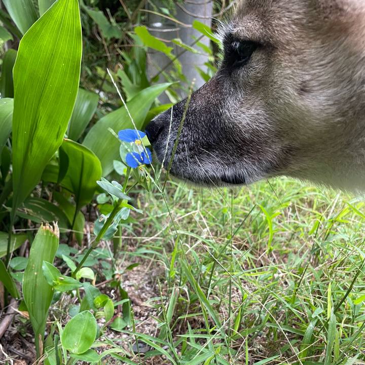 67916ce3 9ecc 41d2 a8d5 322801d94463 1727266078351