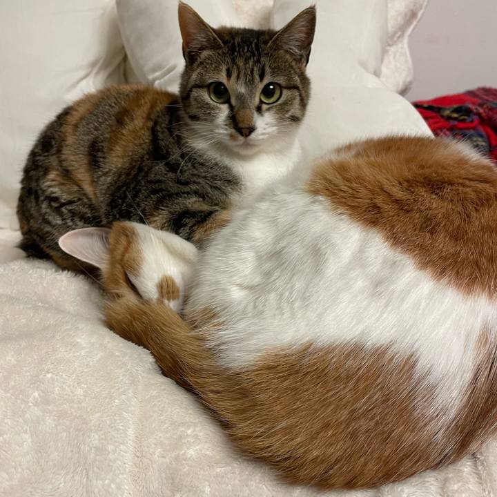 67919b5d f063 4aa5 acf8 9a8014ab85ae 1646656978404