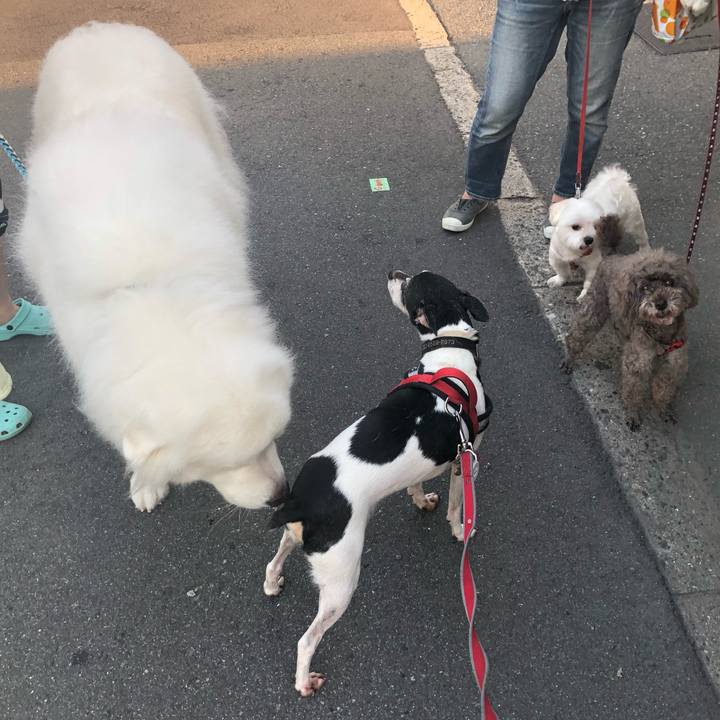 6791a136 b236 4721 b82f 1f69d32dbfce 1568201547433