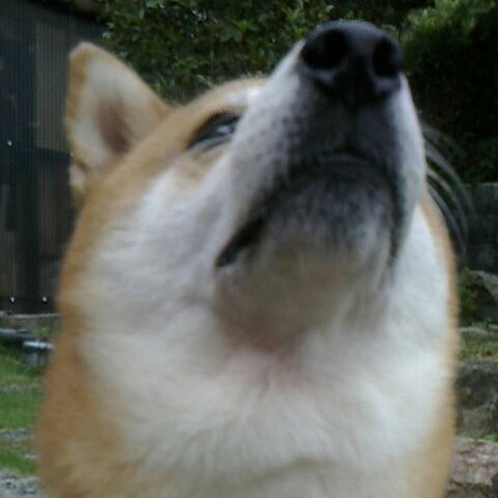 67921792 b0fb 4d08 adbd e35070442604 1571909307588