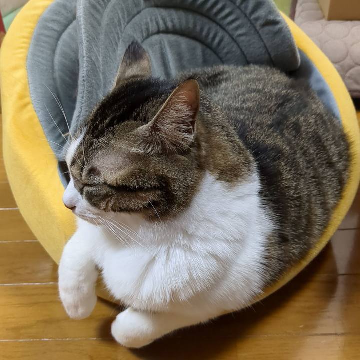 6792648d 0f27 4629 85ac 27478924d844 1670240885478