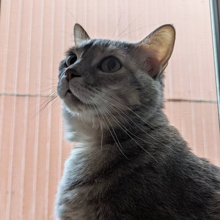 6792f635 1942 4148 b705 48e675cb0446 1705979994026