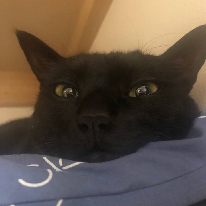 67930392 feaf 4b5b 9b97 b7b353761256 1552570281040