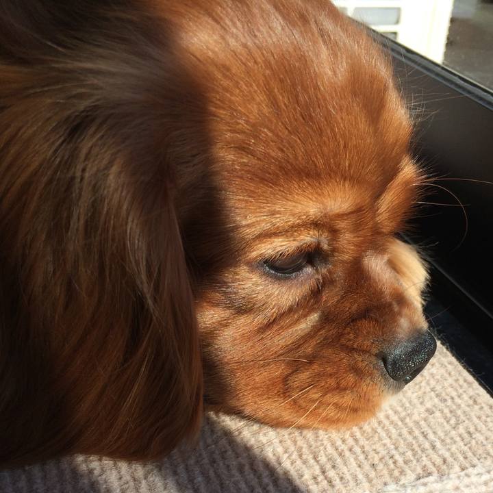 67932a5c c1aa 4fc2 ad09 1537e941baf4 1517726884488