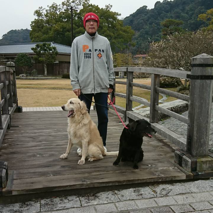 67935e5e b08f 46d0 b0b5 5657a8949b36 1549853025453