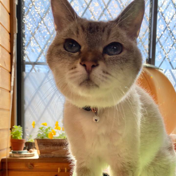 67938909 da3f 495a b284 c188eafc6ad7 1604462578953