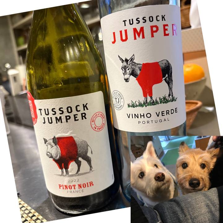 67939137 72d8 4fb3 be50 6711bbeaca6c 1767192853667