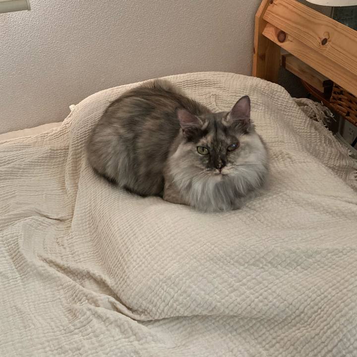 6793e6bf 50d3 4f7a 9f42 a25cd1b079aa 1754366813420