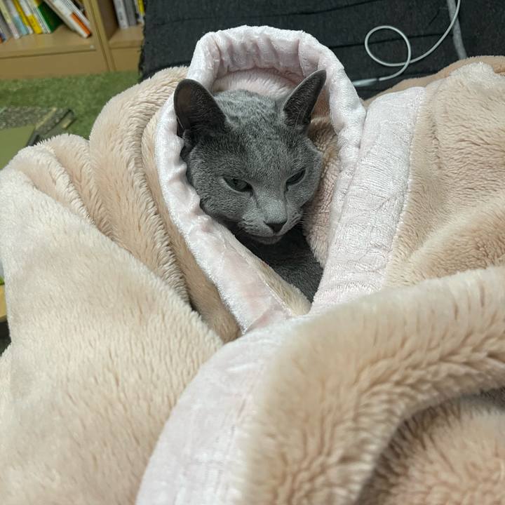 6793eb73 9553 4f45 a9f3 153183e44be5 1767269799109