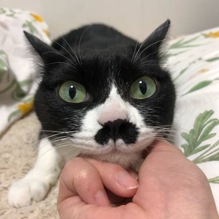 6793f1f2 3a3d 48f6 9b3c 18c987080a00 1519922466078