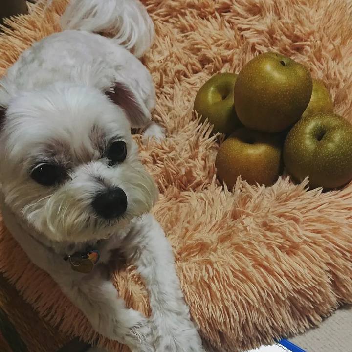 6793f93b 91e4 46ff b1ce b8e346771f97 1659782913285