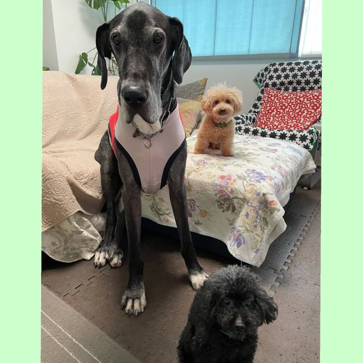 6794337f a73d 42f7 a36a 4402c8ee8b23 1633560053195