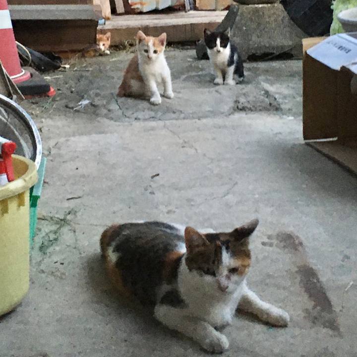 67943499 6f72 485d bafb 3afcc653eb39 1579749969238