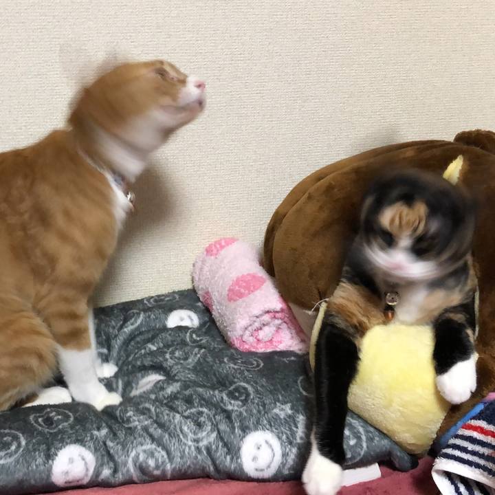 679437b6 d25e 43b3 adc9 40022f823c20 1585139936505