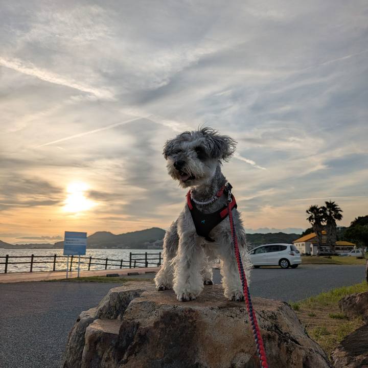 6794457b 5082 4a88 b547 297f9e0e0eed 1751798427828