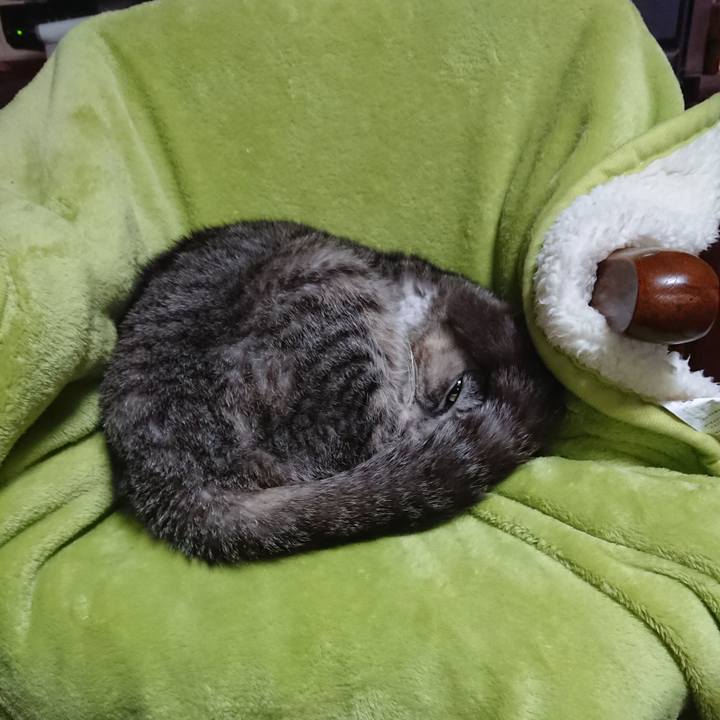 67944e69 9bd8 4f47 ae04 205f951515f2 1588974321093