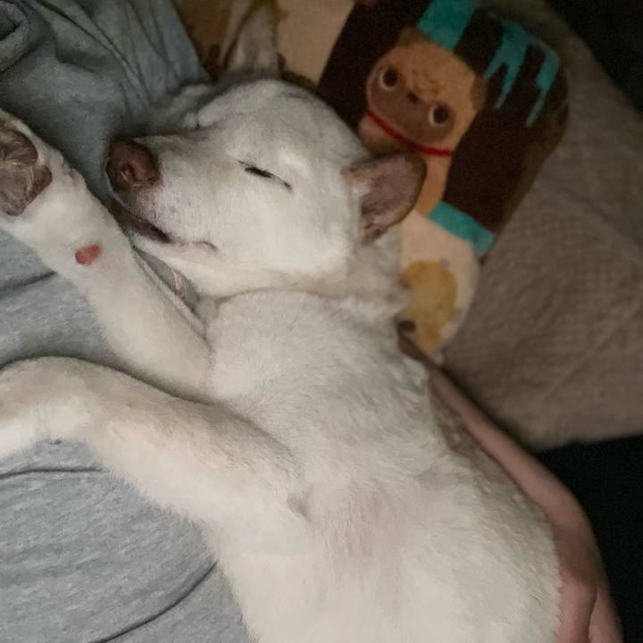 679462fe 9de4 49d0 adee 4569c58696bf 1650549119064