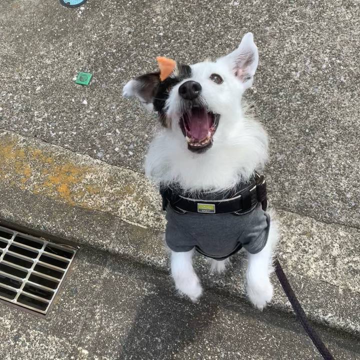 6794748a 0a63 44ce a624 bd5ad1a09371 1744934993207