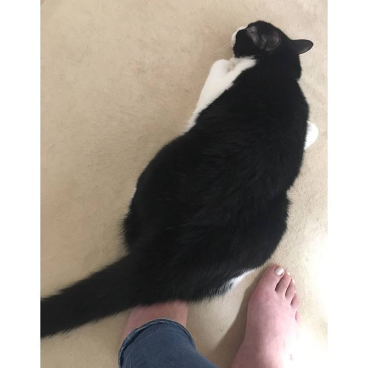 679486e6 5c91 4567 a5da 8d056f0cce55 1587736699900