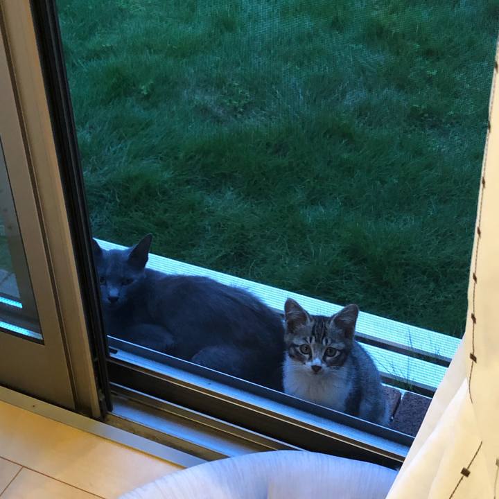 6794ff57 6175 467f 9226 6fe4d2b8703d 1570971804869