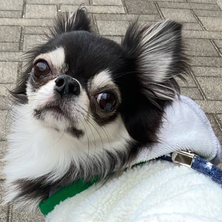 67950779 1712 4860 924e 275afb4bd0e4 1645242313753