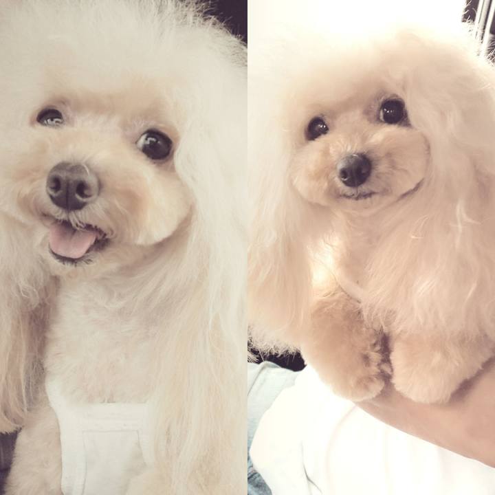 67954594 5d07 43aa a7f8 caf0dba9ba92 1626133132140