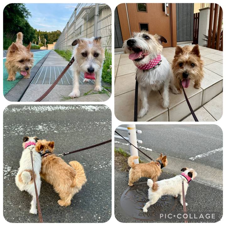 67956f69 32e5 4f87 923f a9d51f7e670b 1751286100212